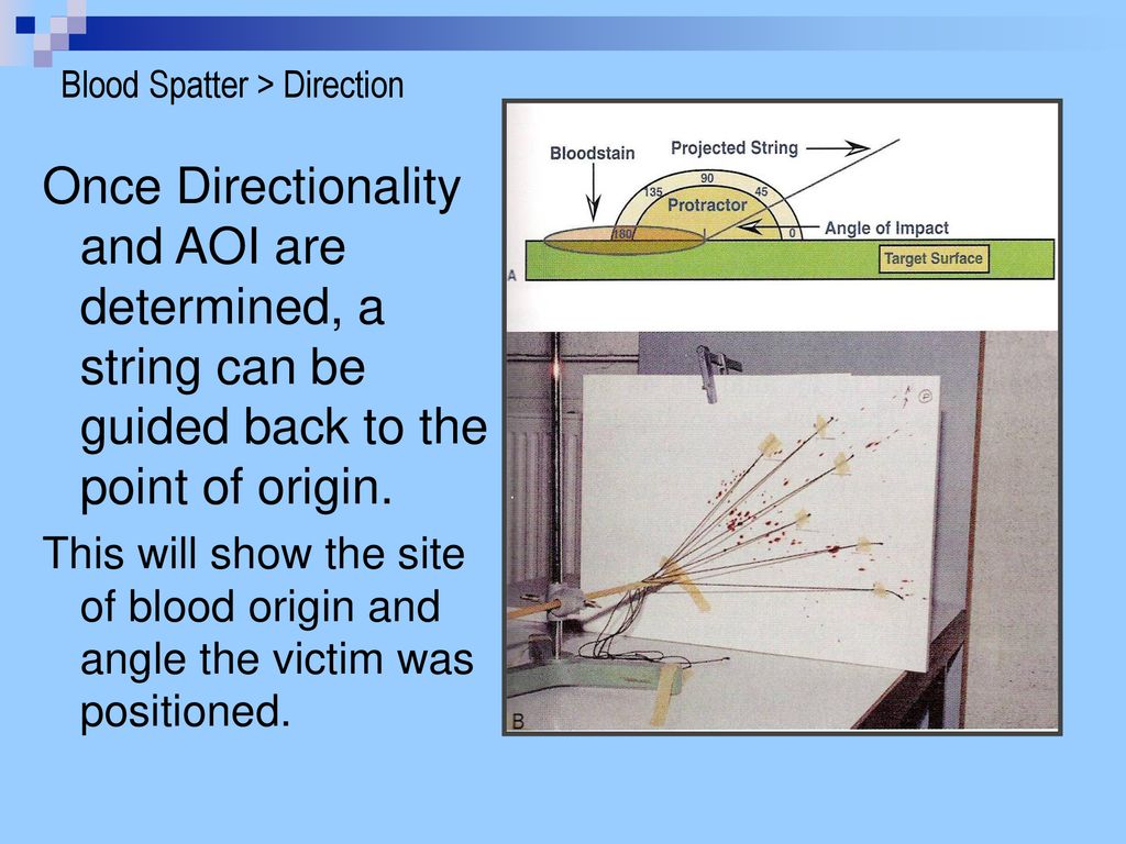Bloodstain Pattern Analysis… Bloodspatter - ppt download